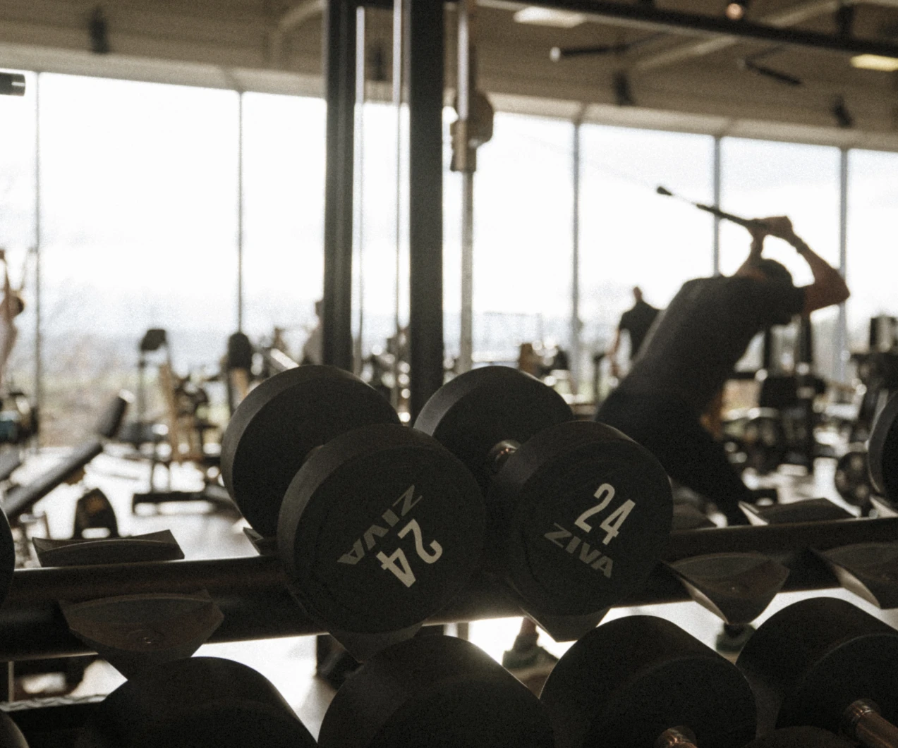Quest sportclub fitness andreas jacob 1024